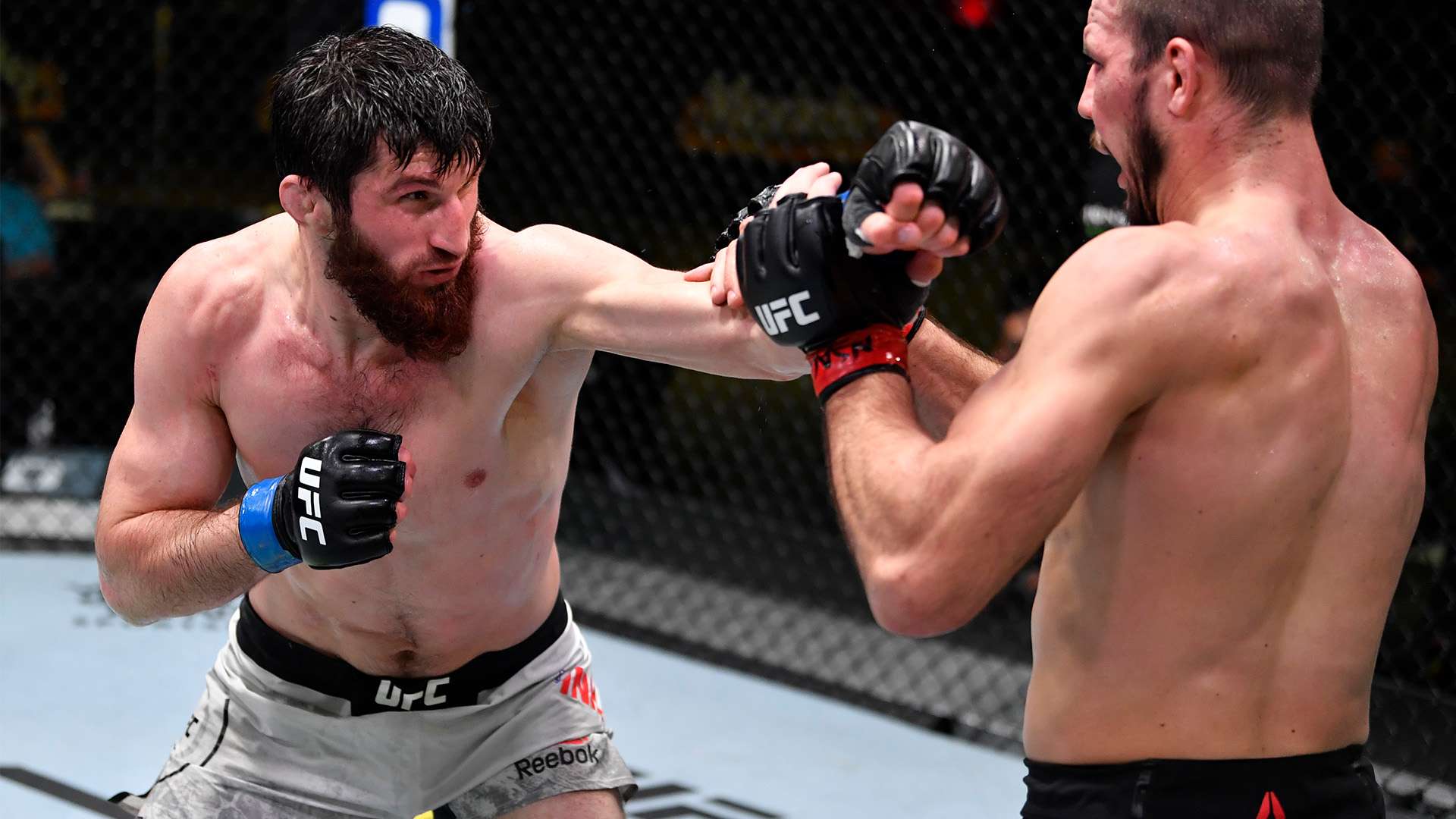 经历让他们 经历让他们